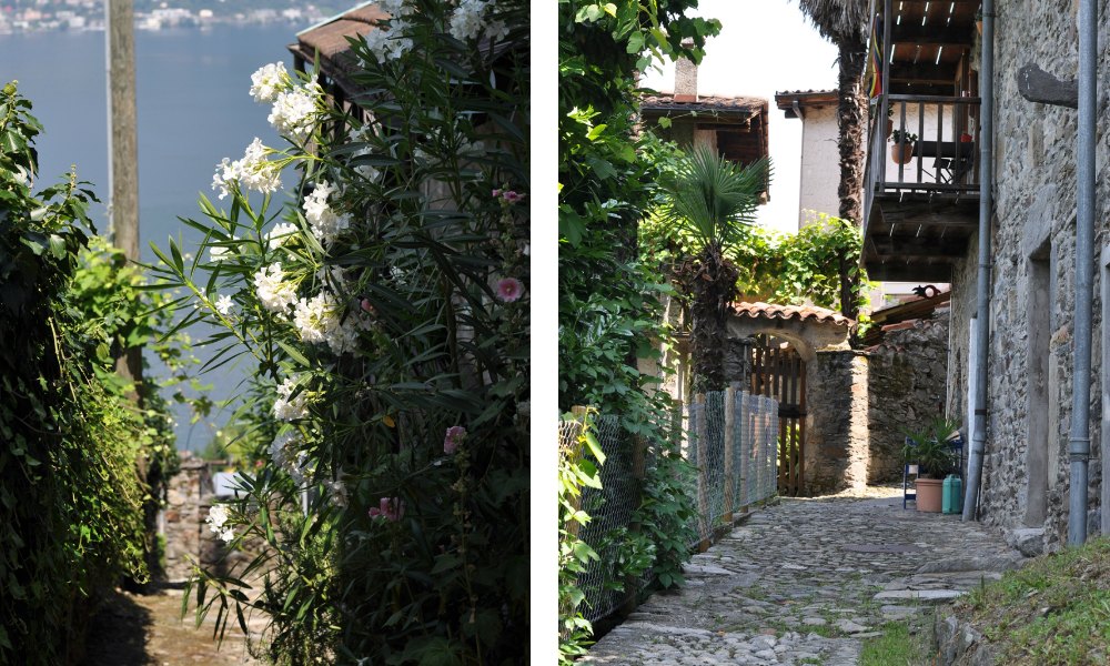 Billet "Dans mes veines coule un peu de Tessin" paru sur www.avecpanache.ch