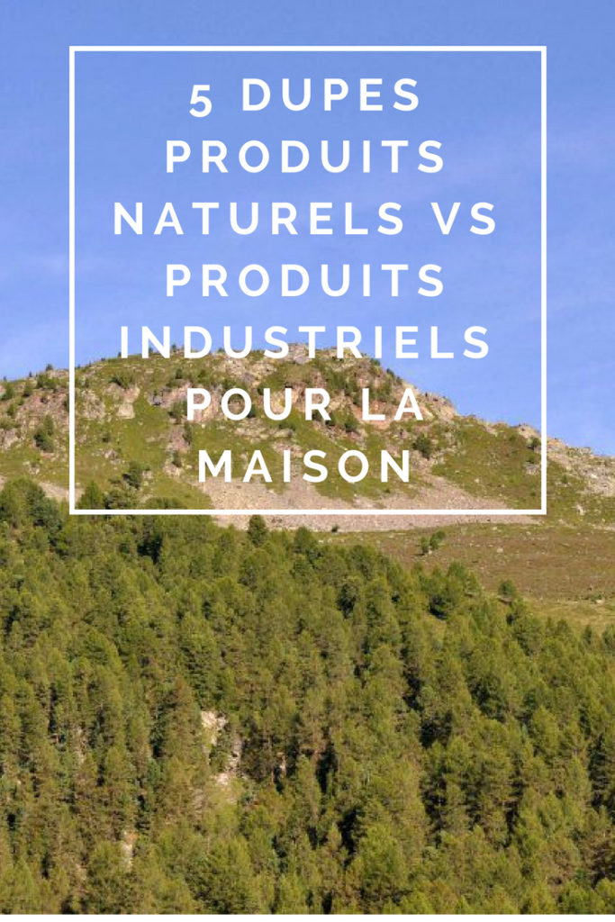 Billet "5 dupes produits naturels vs produits industriels pour la maison" paru sur www.avecpanache.ch